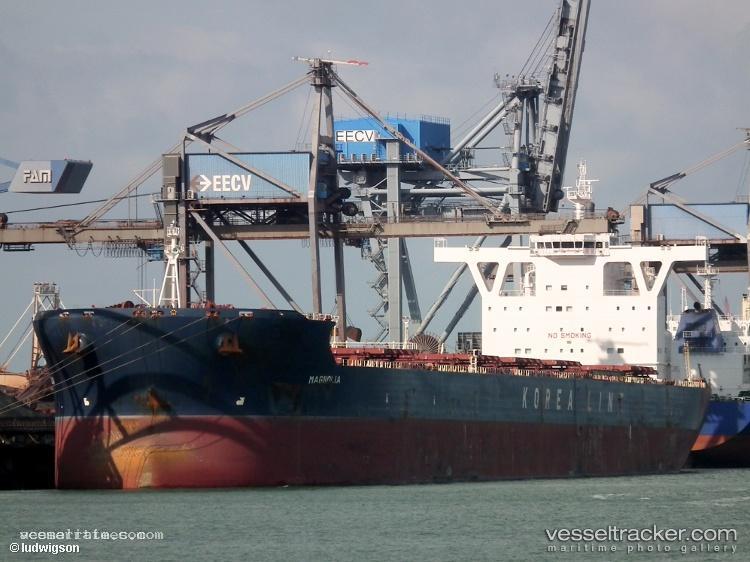 Golden-Magnum - Bulk Carrier vessel registered in Hong Kong