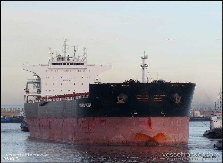 Grey-Whale - Bulk Carrier