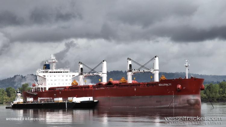Endless-Horizon - Bulk Carrier vessel registered in Portugal