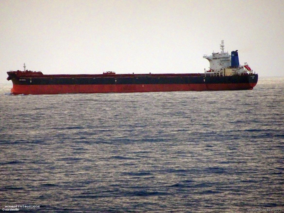 Cape-Seagull - Bulk Carrier vessel registered in United Kingdom