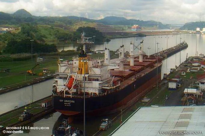 Aegir-Selmer - Bulk Carrier