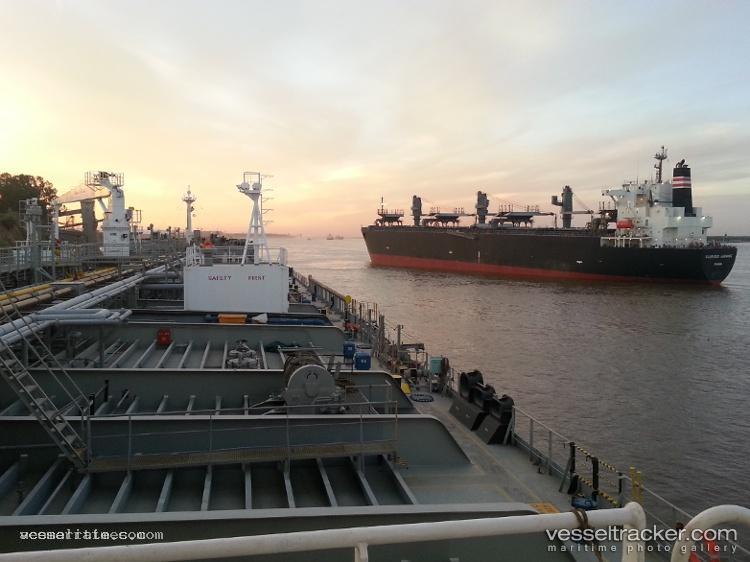 Glorious-Jasmine - Wood Chips Carrier vessel registered in Panama