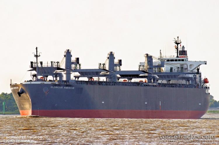 Glorious-Hibiscus - Wood Chips Carrier vessel registered in Panama