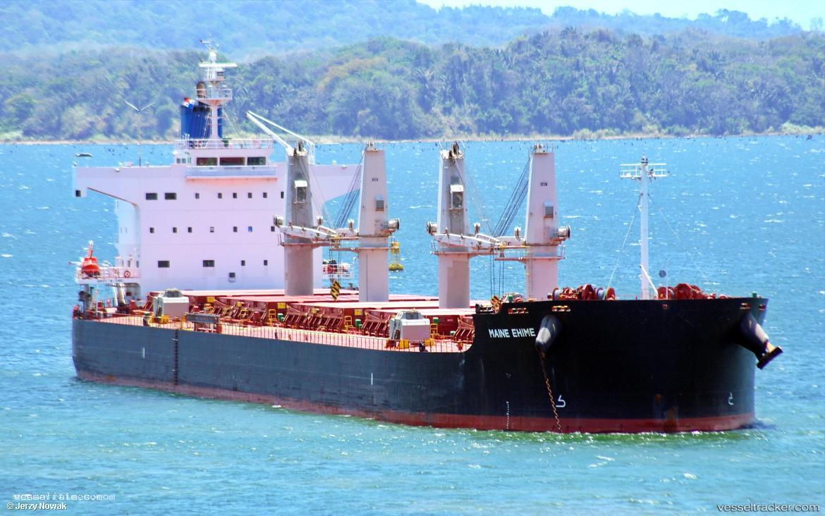 Wasp - Bulk Carrier vessel registered in Marshall Islands