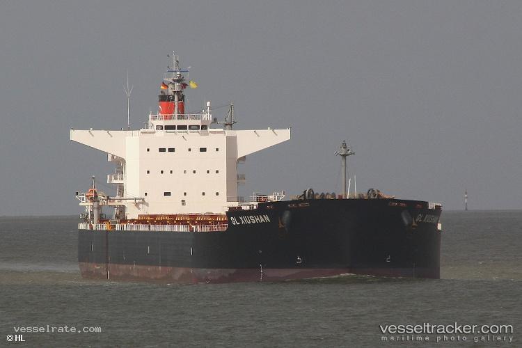 Amami - Bulk Carrier