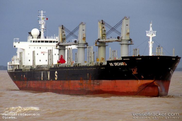 Sea-Horse - Bulk Carrier vessel registered in Barbados
