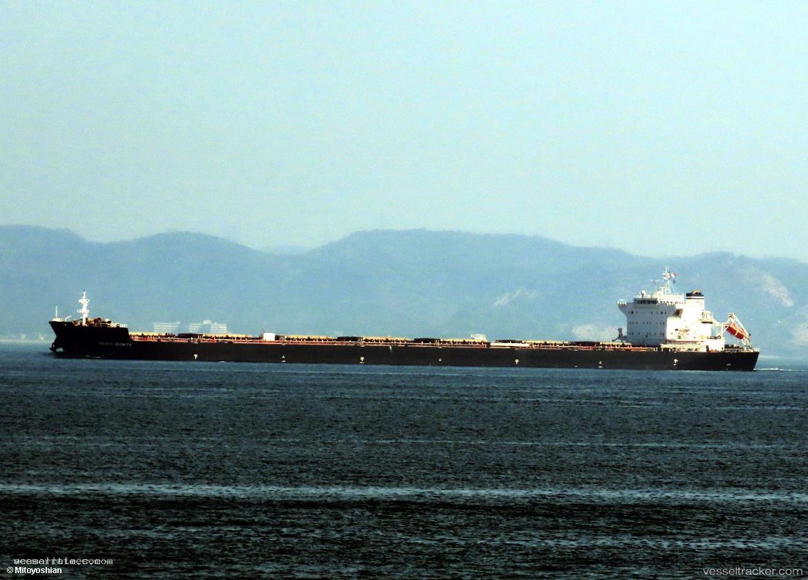 Iolcos-Dignity - Bulk Carrier vessel registered in Malta