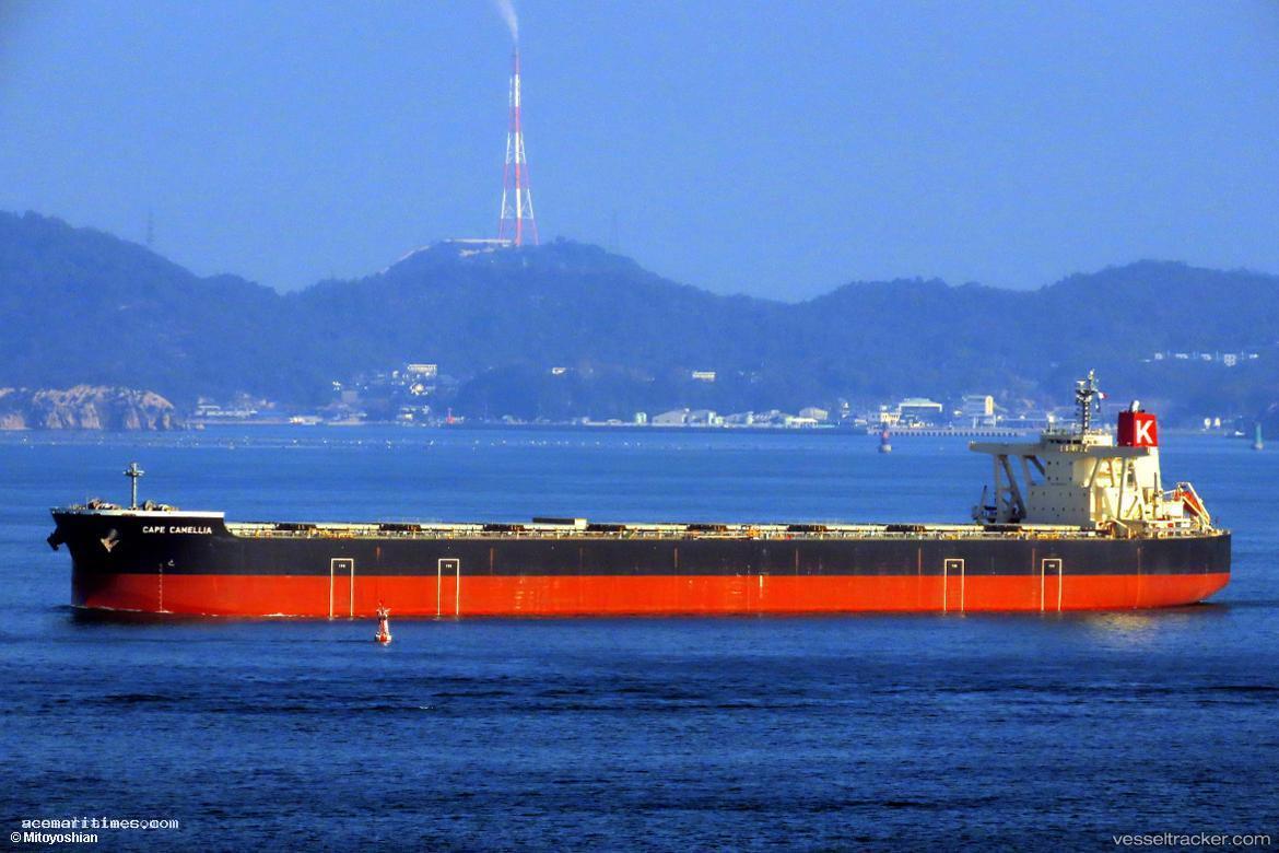 Cape-Camellia - Bulk Carrier vessel registered in Liberia