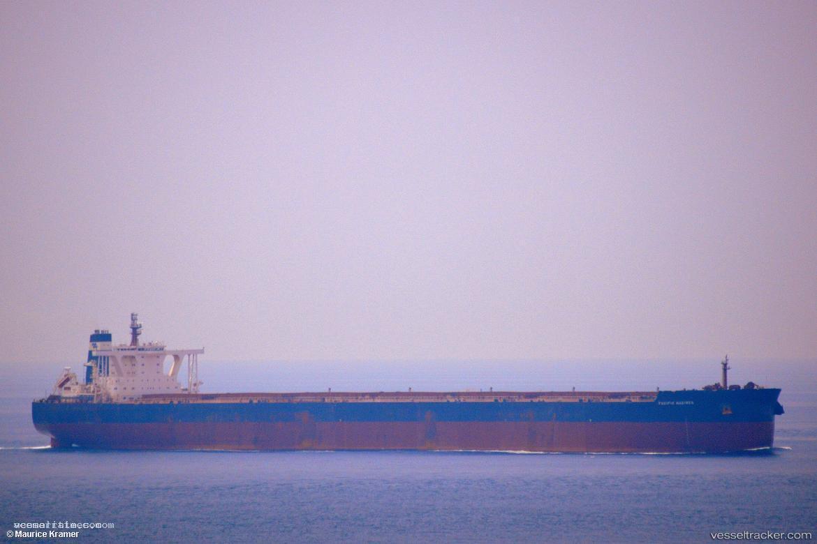 Pacific-Mariner - Ore Carrier vessel registered in Hong Kong