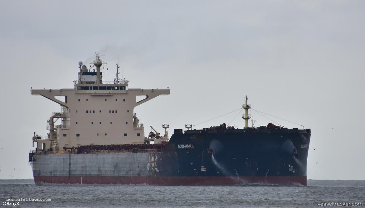 Gh-Alize - Bulk Carrier vessel registered in Bermuda