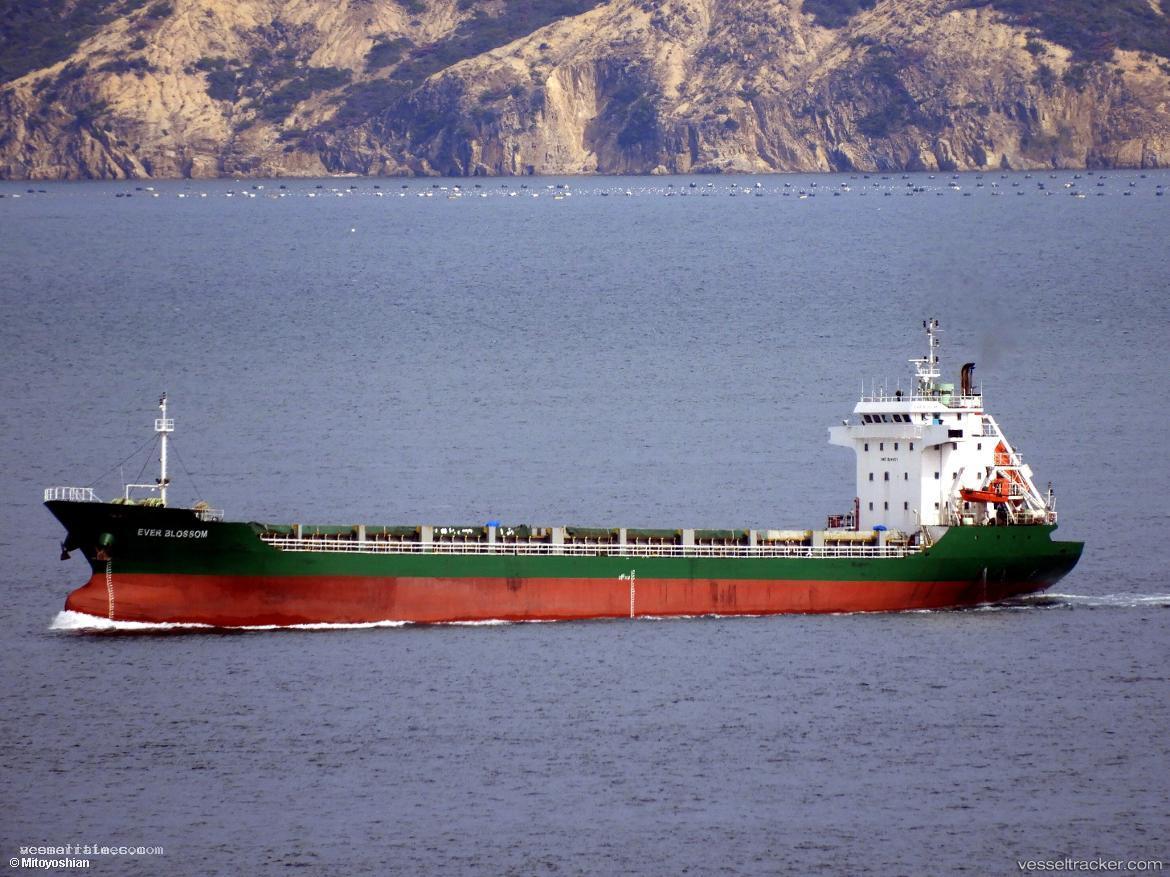 Mv-Haldi - General Cargo Ship vessel registered in India