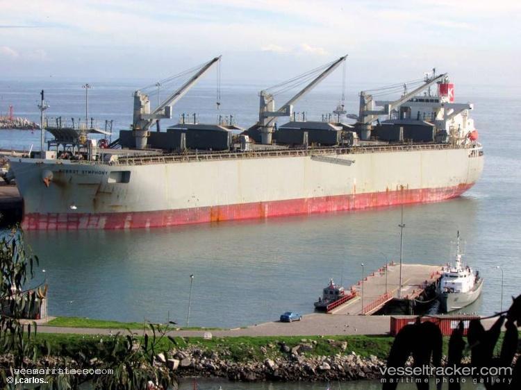 Forest-Symphony - Wood Chips Carrier vessel registered in Japan