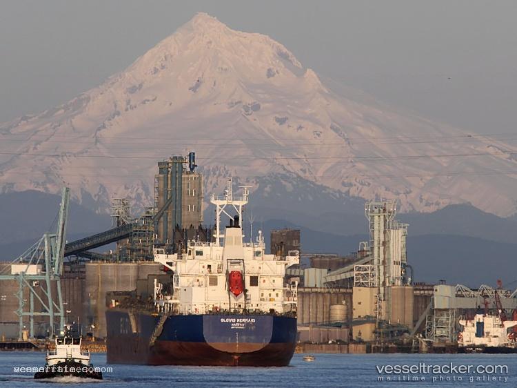 Unity-Mermaid - Bulk Carrier vessel registered in Bahamas