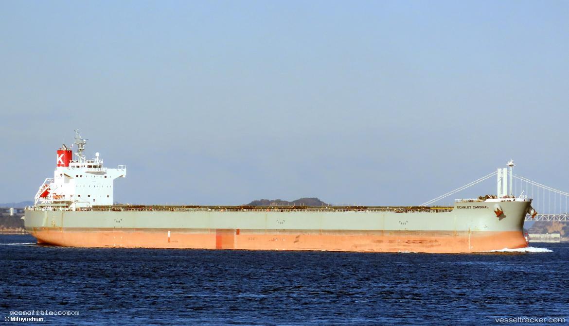 Scarlet-Cardinal - Bulk Carrier vessel registered in Panama