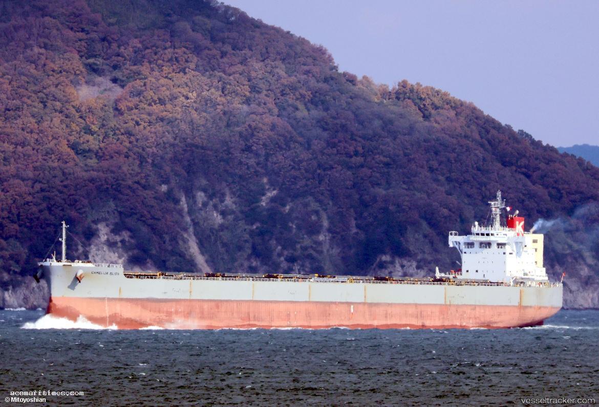 Camellia-Bliss - Bulk Carrier vessel registered in Singapore