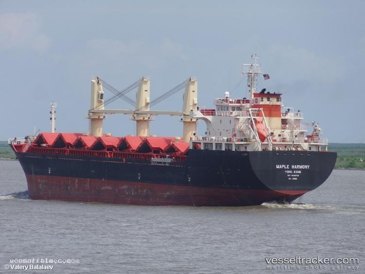 Zhen-Jing-61 - Bulk Carrier vessel registered in China