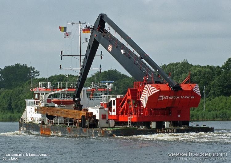 Albatros