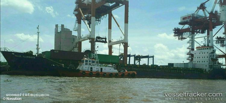 Teluk-Flaminggo - Container Ship vessel registered in Indonesia
