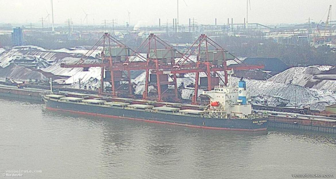 Blue-Horizon - Bulk Carrier vessel registered in Marshall Islands