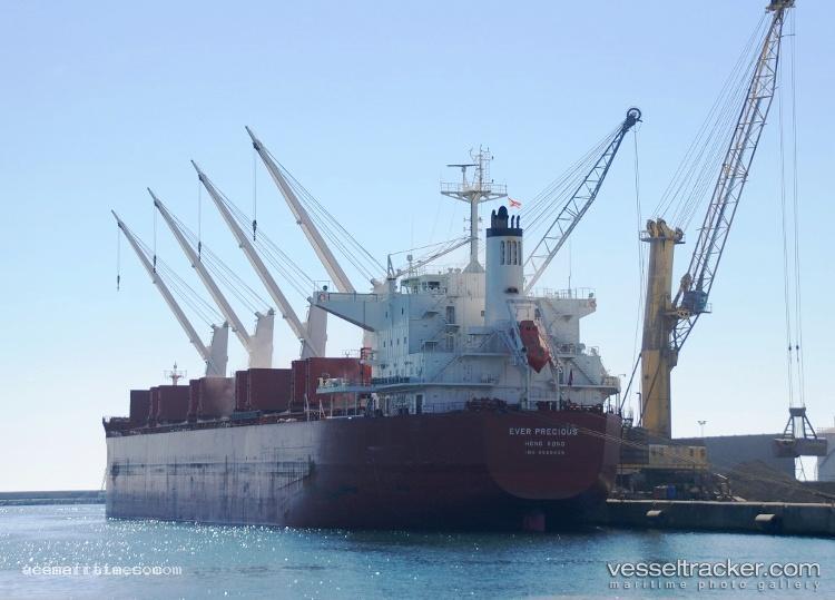 Sanctum - Bulk Carrier vessel registered in Panama