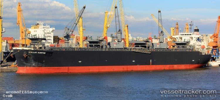 Stellar-Sunrise - Wood Chips Carrier vessel registered in Panama