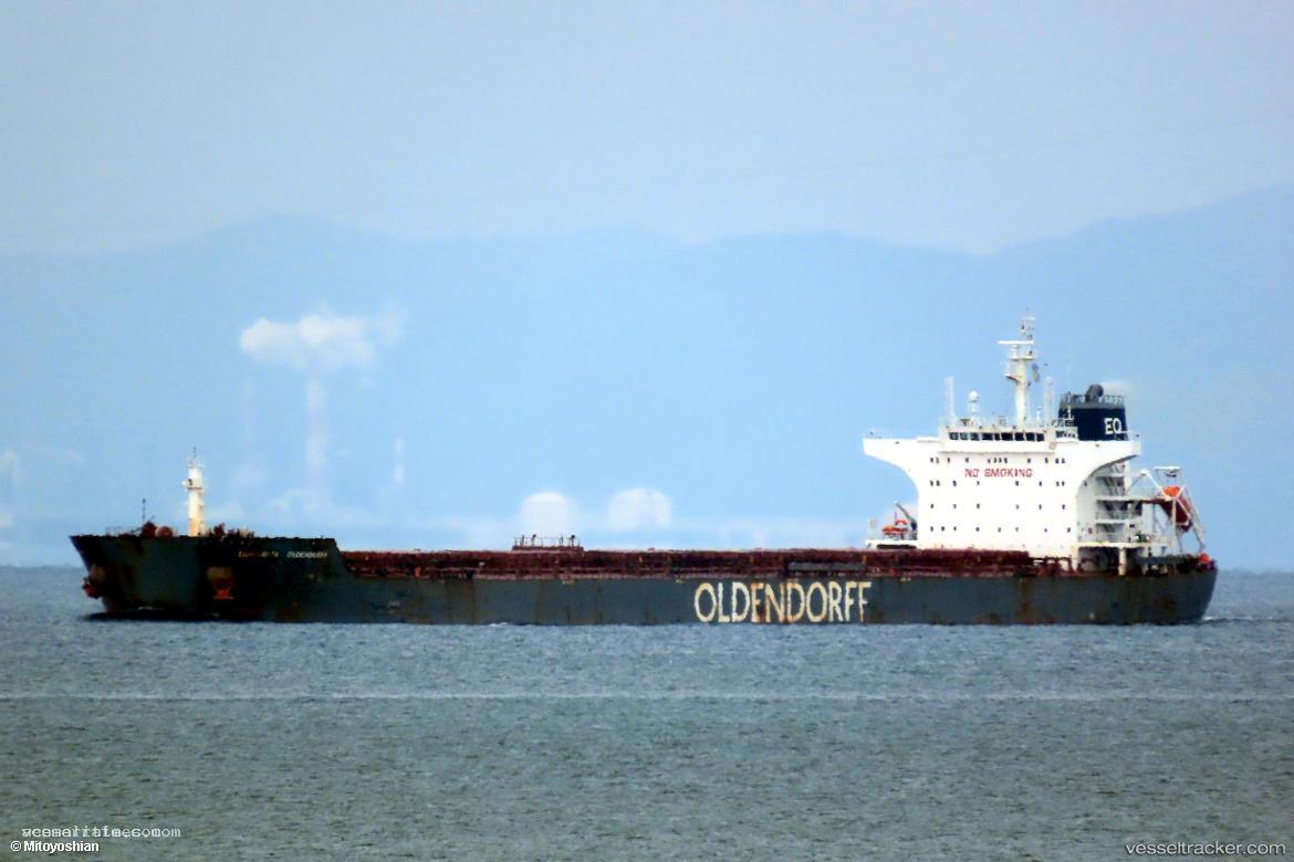 Mountain-Lion - Bulk Carrier vessel registered in Marshall Islands