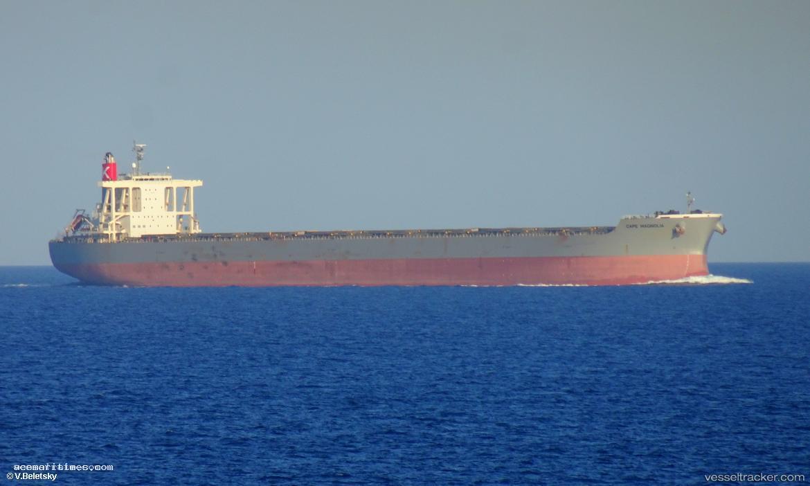 Cape-Magnolia - Bulk Carrier vessel registered in South Africa