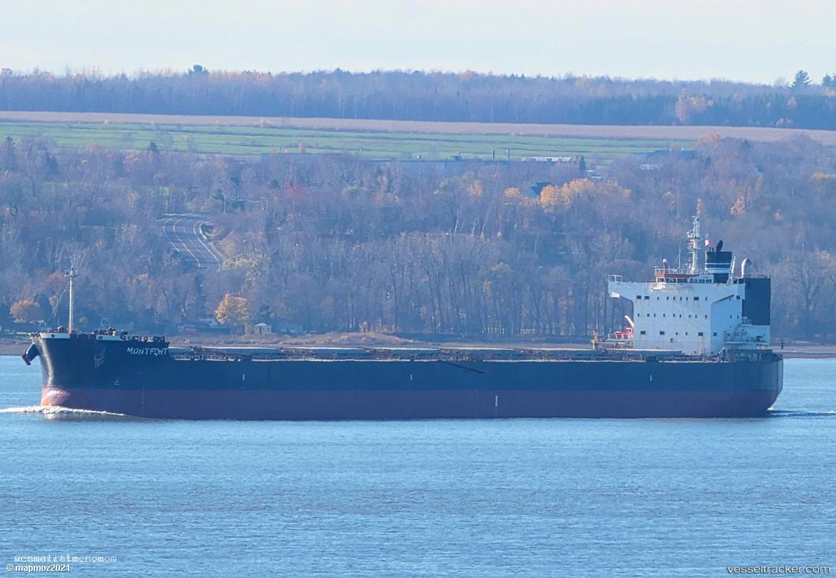 Mont-Fort - Bulk Carrier vessel registered in Marshall Islands