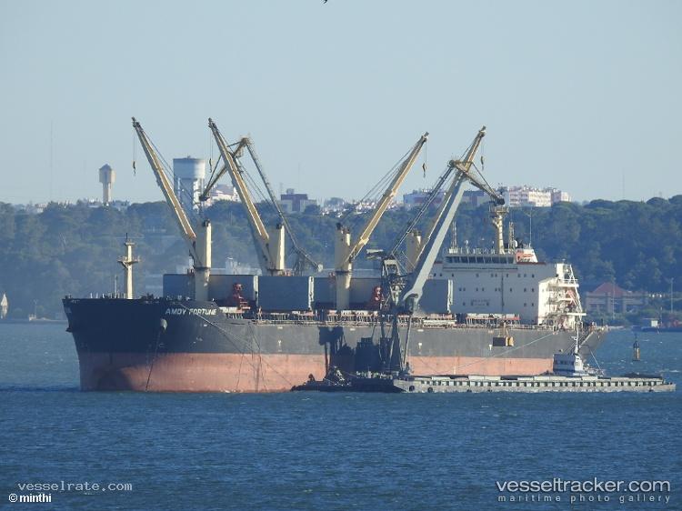 Amoy-Fortune - Bulk Carrier