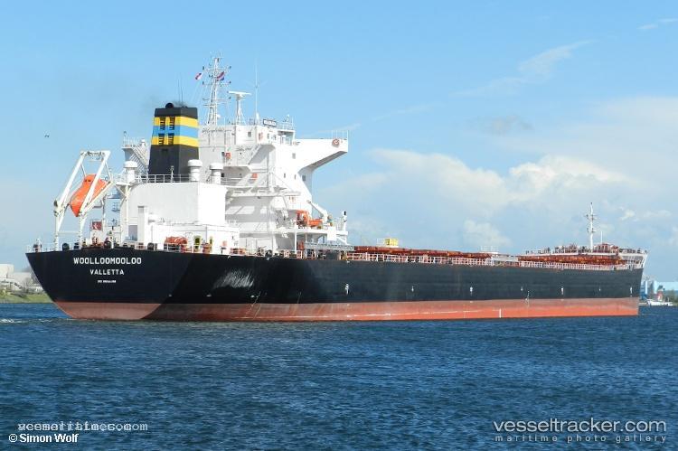 Woolloomooloo - Bulk Carrier vessel registered in Malta