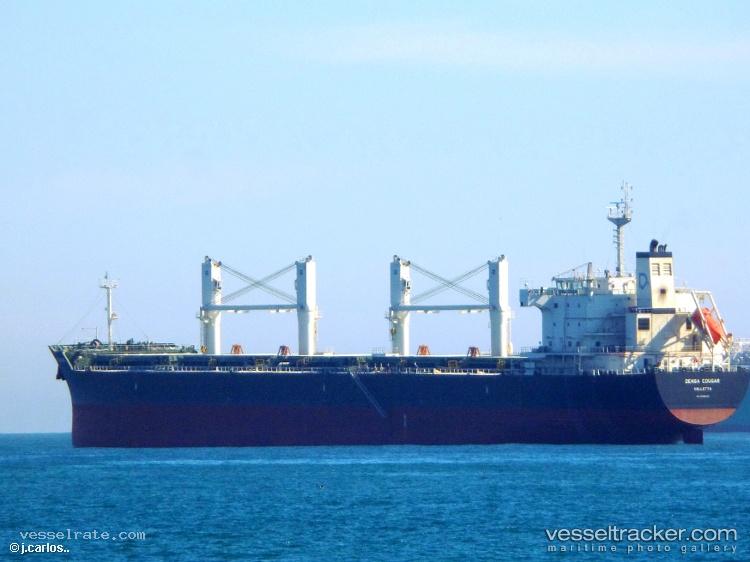 Al-Nahda - Bulk Carrier
