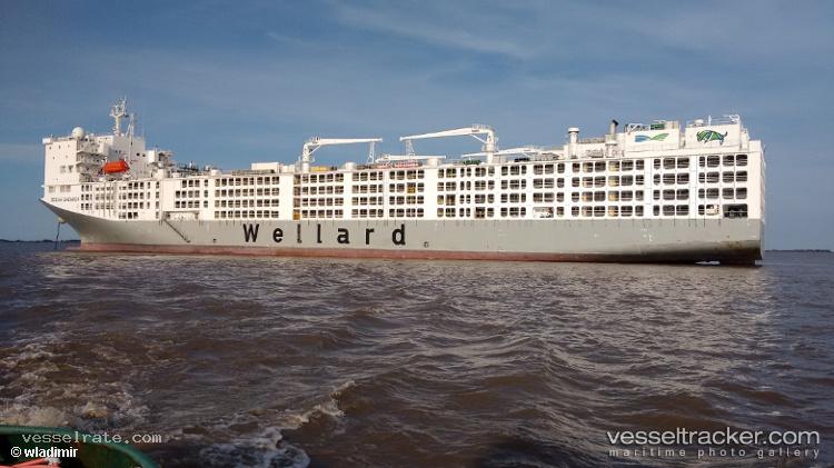 Al-Kuwait - Livestock Carrier