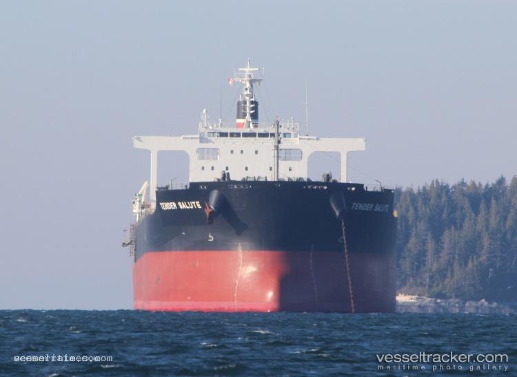 Power-Loong - Bulk Carrier vessel registered in Panama