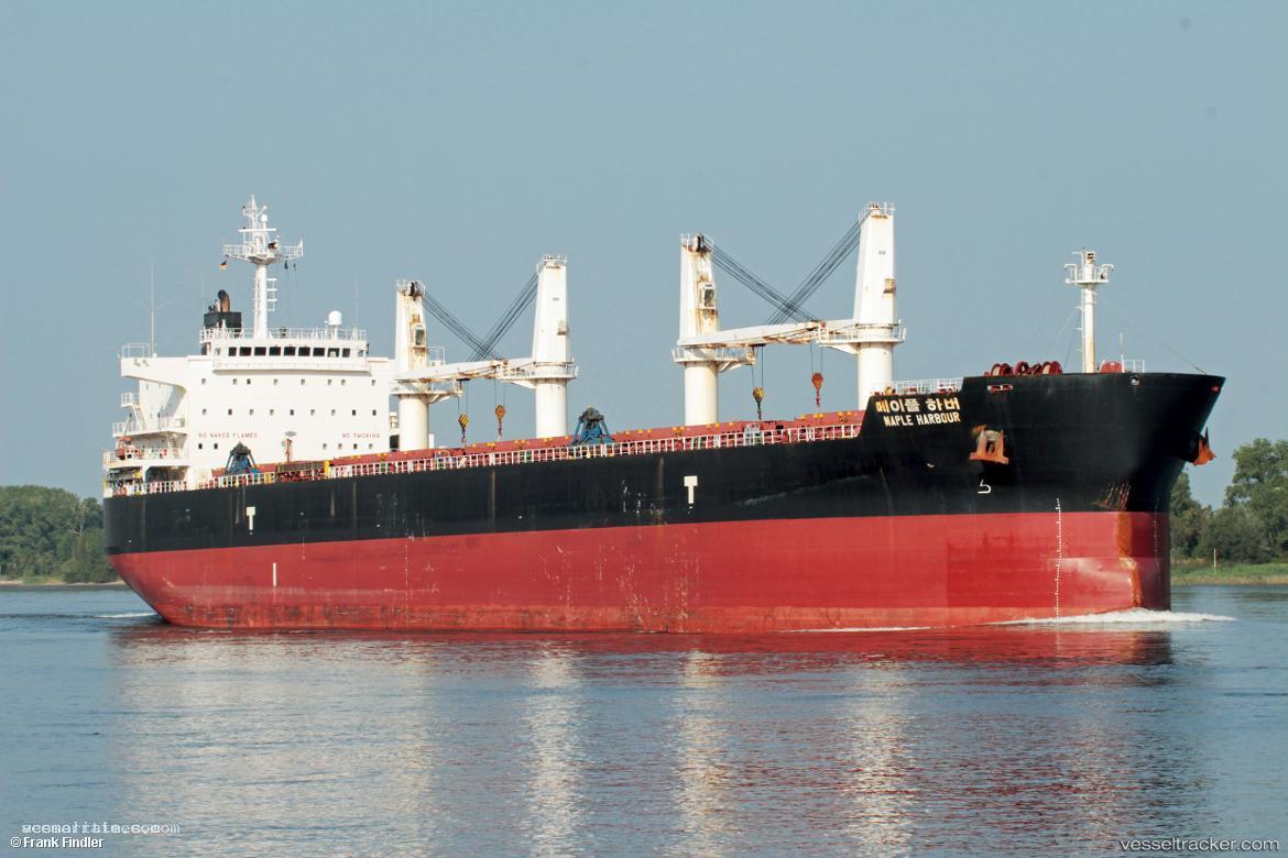 Maple-Harbour - Bulk Carrier vessel registered in South Korea