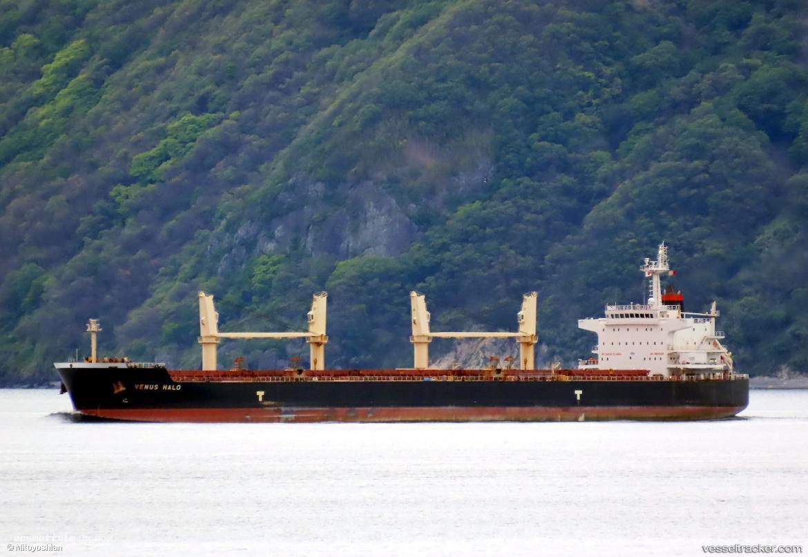 Venus-Halo - Bulk Carrier vessel registered in Panama
