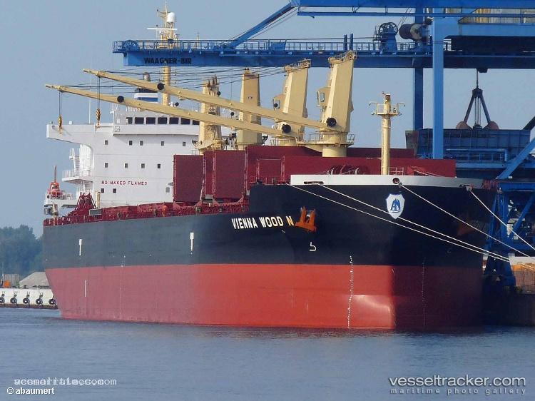 Vienna-Wood-N - Bulk Carrier vessel registered in Hong Kong