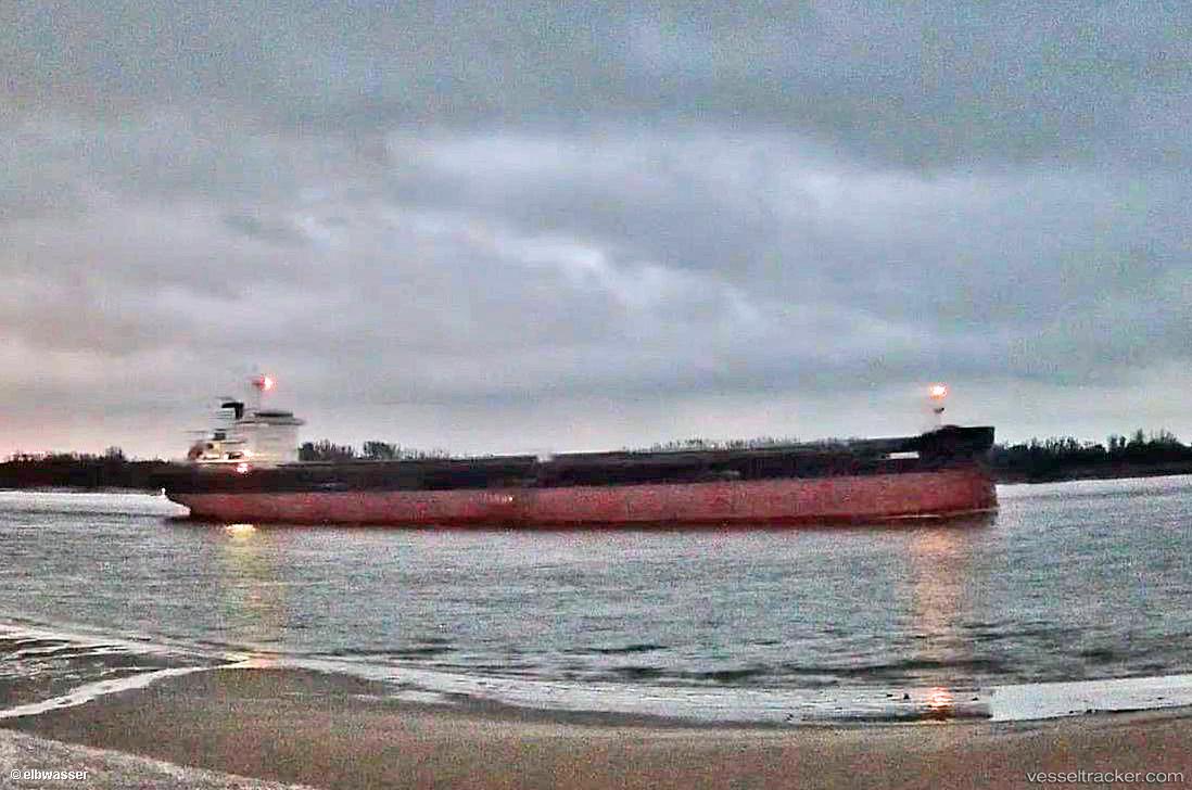 Artemis - Bulk Carrier vessel registered in Singapore