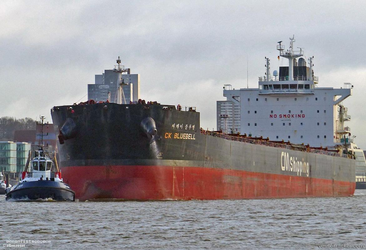 Ck-Bluebell - Bulk Carrier vessel registered in South Korea