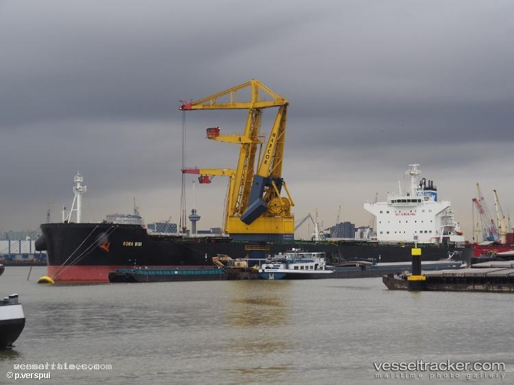 Dona-Bibi - Bulk Carrier vessel registered in Panama