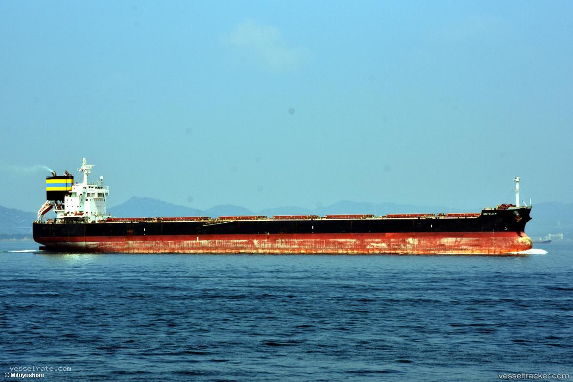 Castellani - Bulk Carrier vessel registered in Malta
