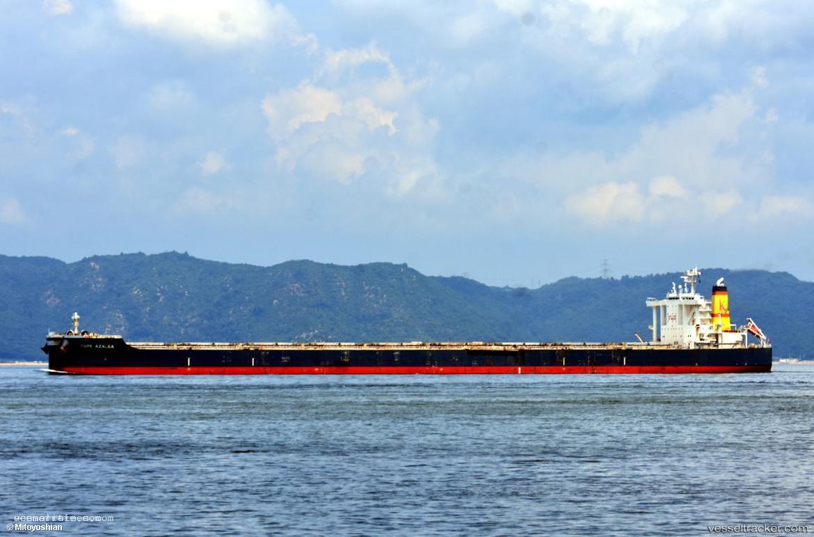 Flying-Loong - Bulk Carrier vessel registered in Panama