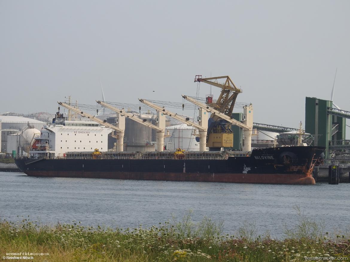 Serenity - Bulk Carrier vessel registered in Marshall Islands
