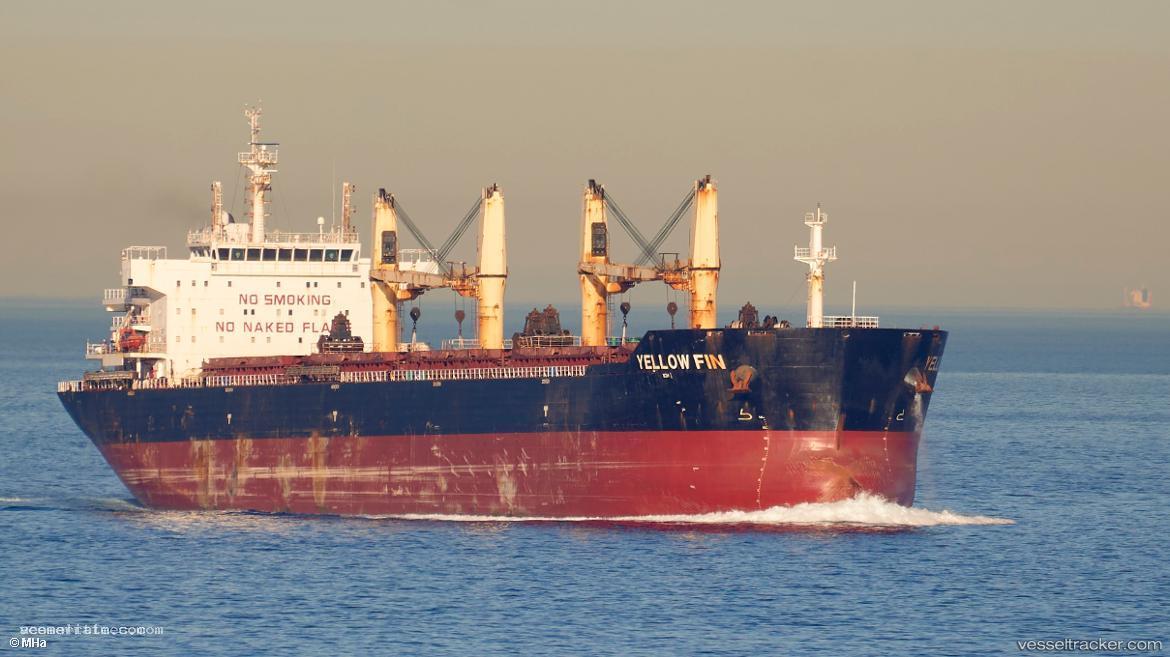 Yellow-Fin - Bulk Carrier vessel registered in Malta