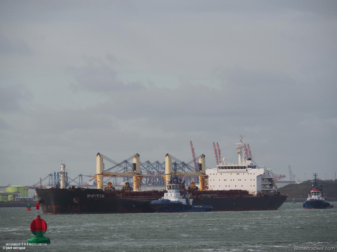 White-Fin - Bulk Carrier vessel registered in Malta