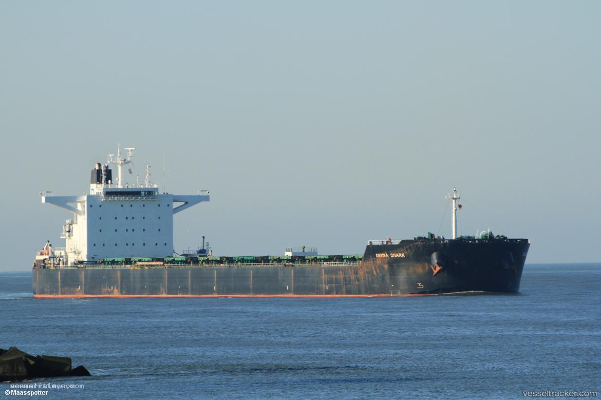 Densa-Shark - Bulk Carrier vessel registered in Malta