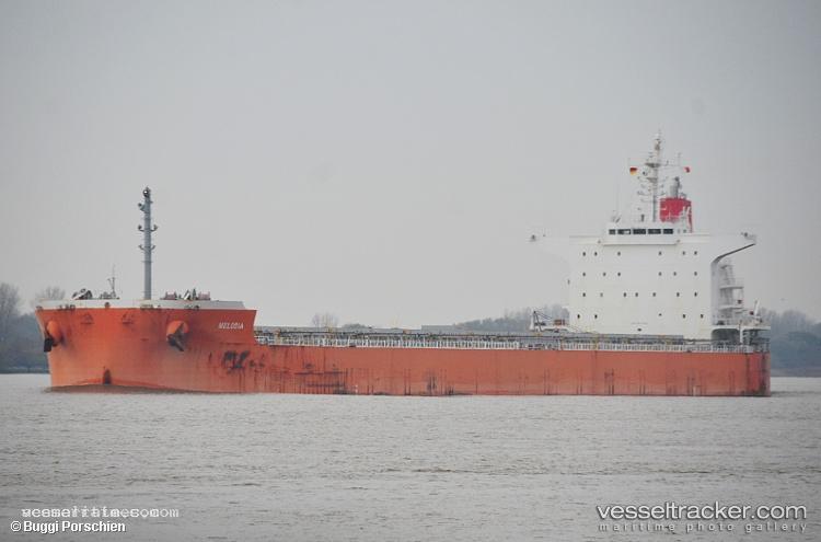 Fiesta - Bulk Carrier vessel registered in Liberia
