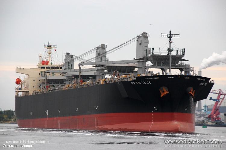 Water-Lily - Wood Chips Carrier vessel registered in Panama