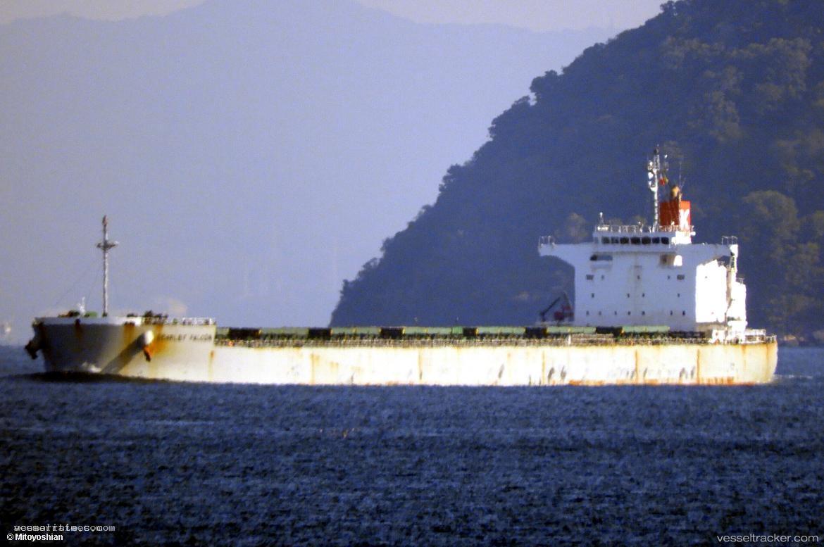 Scarlet-Falcon - Bulk Carrier vessel registered in Panama