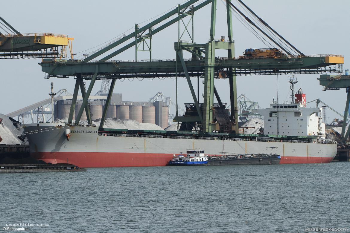 Scarlet-Rosella - Bulk Carrier vessel registered in Panama