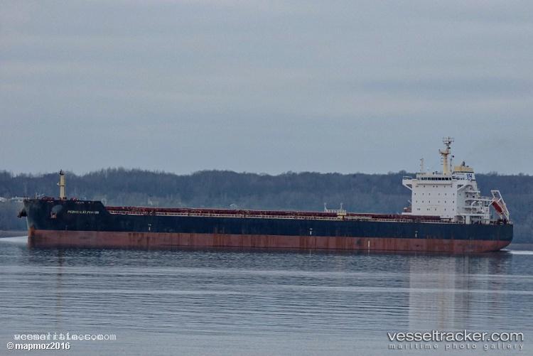 Fei-Peng - Bulk Carrier vessel registered in China
